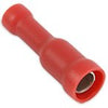 Adapters, Terminals & Connectors