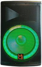 Load image into Gallery viewer, MR DJ 15" 2-Way PA DJ 4500W Passive LED Speaker + Speaker Stand & Cable