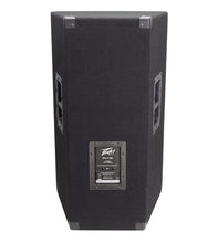 Load image into Gallery viewer, Peavey PV® 115 Enclosure 2-Way Speaker