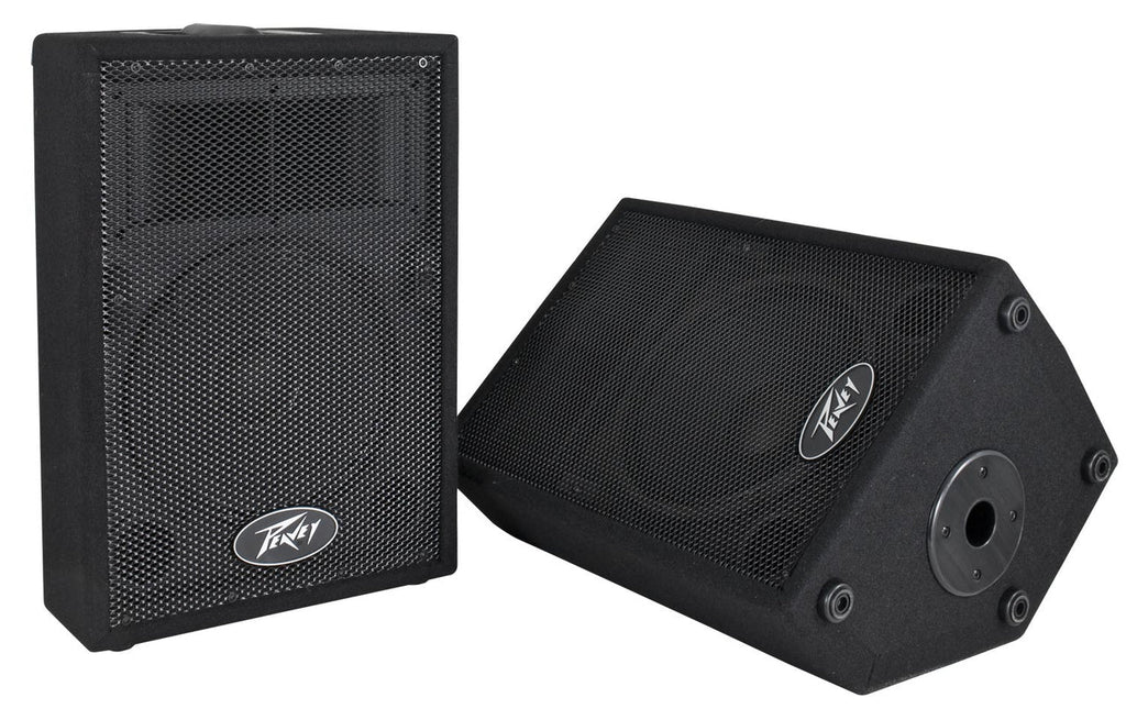 Peavey PVi10 Two 10" 100 Watt 2-Way Pro Audio Live Speaker System