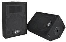 Charger l'image dans la galerie, Peavey PVi10 Two 10" 100 Watt 2-Way Pro Audio Live Speaker System