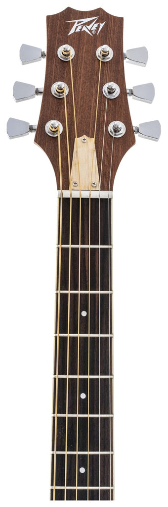 Peavey DW 2 SOLID TOP DREADNAUGHT W/C Acoustic Guitar with Case