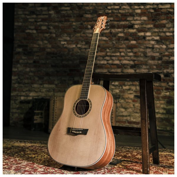 Peavey DW 2 SOLID TOP DREADNAUGHT GTR Acoustic Guitar