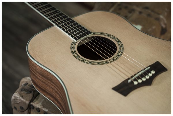 Peavey DW 2 SOLID TOP DREADNAUGHT GTR Acoustic Guitar