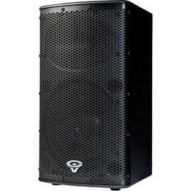 2 Cerwin-Vega P1000X 10