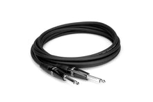 Load image into Gallery viewer, Hosa HGTR-010 Pro Guitar Cable, REAN Straight to Same - 10 Feet