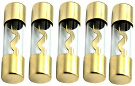 American Terminal AGU-80-5 5 pcs AGU 80 Amp Standard Gold Glass Fuses Tube for Car Auto Audio Power Safety Protect Radio Amplifier Home Marine Installation