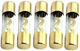 American Terminal AGU-80-5 5 pcs AGU 80 Amp Standard Gold Glass Fuses Tube for Car Auto Audio Power Safety Protect Radio Amplifier Home Marine Installation