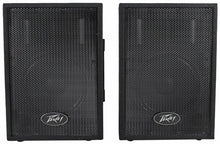 Load image into Gallery viewer, Peavey PVi10 Two 10&quot; 100 Watt 2-Way Pro Audio Live Speaker System (Pair)
