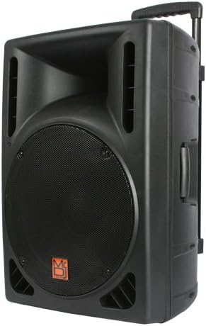 MR DJ PBS1609MP3 Powered 12" PA DJ Speaker Cabinet with Built-In Amplifier, USB & SD Card Playback