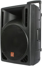 Charger l'image dans la galerie, MR DJ PBS1609MP3 Powered 12" PA DJ Speaker Cabinet with Built-In Amplifier, USB &amp; SD Card Playback