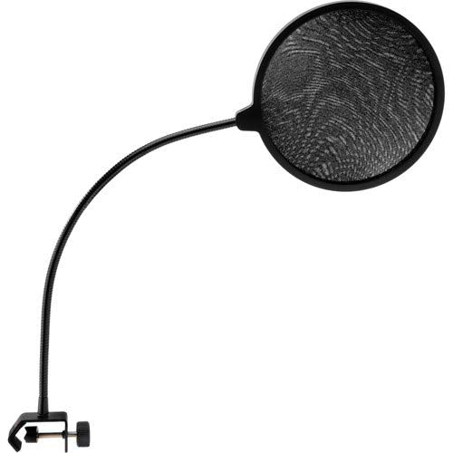 Blue Bluebird SL Large-Diaphragm condenser microphone,Mic Boom Stand,XLR cable and Pop Filter