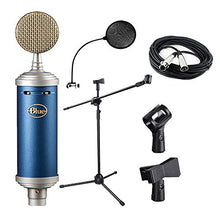Charger l&#39;image dans la galerie, Blue Bluebird SL Large-Diaphragm condenser microphone,Mic Boom Stand,XLR cable and Pop Filter