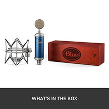 Charger l&#39;image dans la galerie, Blue Bluebird SL XLR Condenser Microphone for Recording and Streaming, Large-Diaphragm Cardioid Capsule, Shockmount and Protective Case
