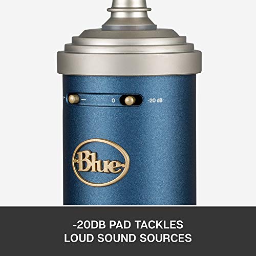 Blue Bluebird SL XLR Condenser Microphone for Recording and Streaming, Large-Diaphragm Cardioid Capsule, Shockmount and Protective Case