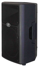 Load image into Gallery viewer, PEAVEY PVXp10 10" 2 WAY  ACTIVE DJ/PA/ KARAOKE LOUD SPEAKER