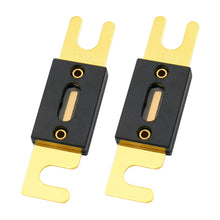 Load image into Gallery viewer, Absolute USA ANL120-2 2 Pack ANL 120 Amp Fuse