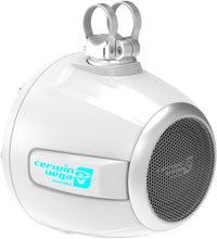 Charger l'image dans la galerie, Cerwin Vega SH10F4W 2-Way 10" RPM Stroker Pod Speaker System (Pair) - White