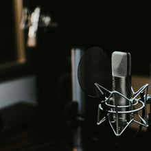 Charger l&#39;image dans la galerie, MR DJ SP01S Spider Microphone Shockmount Selected Studio Condenser Microphones