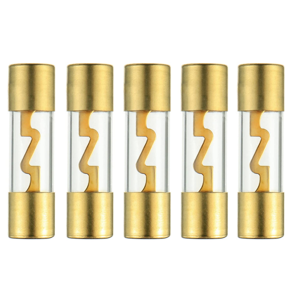 10 Absolute AGU60 60 Amp AGU gold plated fuses round glass fuse