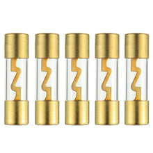 Charger l&#39;image dans la galerie, 10  AGU fuse 60 Amp AGU gold plated fuses round glass fuse