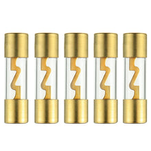 Load image into Gallery viewer, Absolute AGU40-5 40 Amp Gold-Plated AGU Glass Fuse (10 Pack)