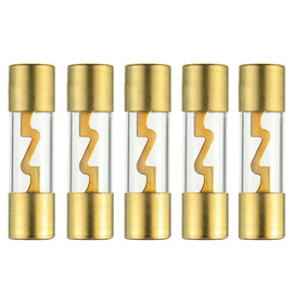 Absolute AGU40-5 40 Amp Gold-Plated AGU Glass Fuse (10 Pack)