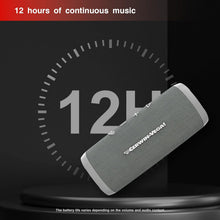 Load image into Gallery viewer, Cerwin Vega VMGRY Vega Mini Gray Portable Compact Powerhouse Bluetooth Speaker