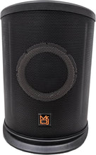 Charger l'image dans la galerie, 2 Pack MR DJ ELITE All-In-One 8" Portable Bluetooth Line Column Array Speaker
