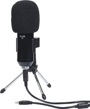 Charger l&#39;image dans la galerie, CAD Audio U49 USB Large Format Side Address Studio Microphone with Headphone Monitor and Echo