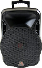 Load image into Gallery viewer, 4000W Bluetooth DSP FM Radio USB Portable PA DJ KARAOKE Speaker