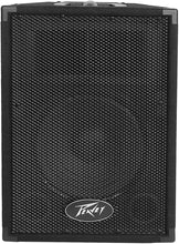 Load image into Gallery viewer, Peavey PVi10 Two 10" 100 Watt 2-Way Pro Audio Live Speaker Package
