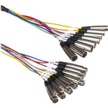 Charger l&#39;image dans la galerie, Hosa XLR-802, 8-Channel Male XLR to Female XLR Snake Cable - 2 Meter
