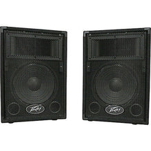 Charger l'image dans la galerie, Peavey PVi10 Two 10" 100 Watt 2-Way Pro Audio Live Speaker System