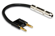 Load image into Gallery viewer, Hosa BNP-116BK 1/4 inch TS Female to Dual Banana Speaker Adapter - Black