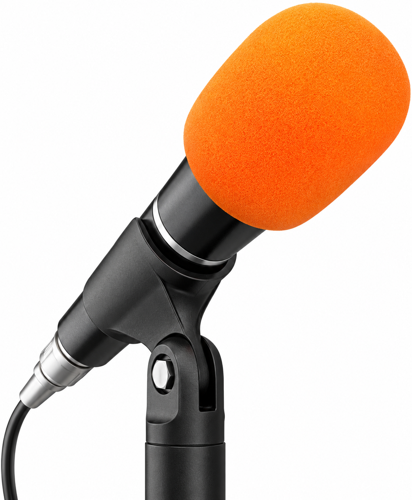MR DJ SPONGE-C10 10 PCS 5 Color Microphone Sponge Foam Microphone Covers Handheld