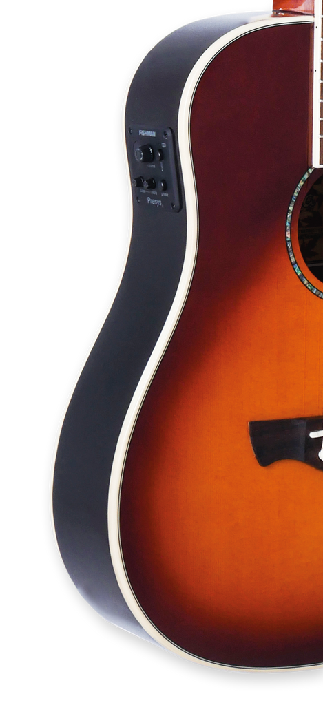 Tagima FERNIE-CB Acoustic Guitar - Cherry Burst