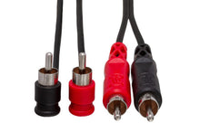 Load image into Gallery viewer, Hosa CRA-204 Stereo Interconnect Dual RCA Cable - 13.2 foot
