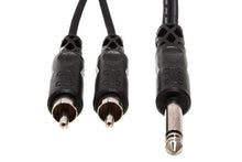 Load image into Gallery viewer, Hosa CYR-103 Y Cable - 1/4-inch TS Male to Dual RCA Male - 9 foot