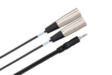 Load image into Gallery viewer, Hosa CYX-402M Stereo Breakout Cable - 3.5mm TRS Male to Dual XLR3 Male - 6.5 foot