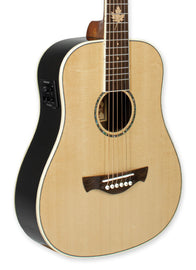 Tagima FERNIE EQ-NA Acoustic Guitar - Natural