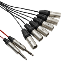Load image into Gallery viewer, Gator CableWorks GCWB-DS6X2-50 Backline Series 6×2 Drop Snake – 50 Feet