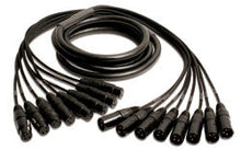 Load image into Gallery viewer, Mogami GOLD 8 XLR-XLR-75 8-channel XLR Male to XLR Female Snake Cable - 75 foot