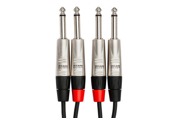 Hosa Pro HPP-010X2 Stereo Interconnect Cable Dual REAN 1/4" TS to Same 10 foot