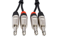 Load image into Gallery viewer, Hosa Pro HPP-010X2 Stereo Interconnect Cable Dual REAN 1/4" TS to Same 10 foot
