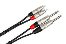 Load image into Gallery viewer, Hosa Pro HPR-010X2 Stereo Interconnect Cable - Dual REAN 1/4-inch TS Male to RCA Male - 10 foot