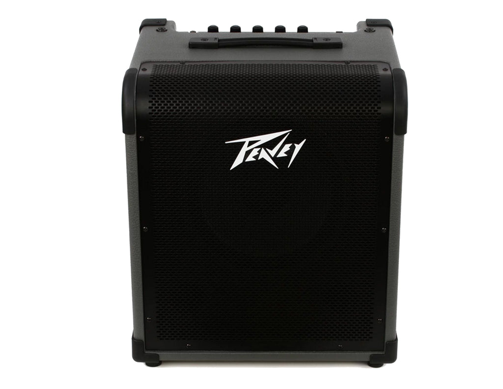 Peavey MAX100 1x10" 100-watt Bass Combo Amp+ Free Mr Dj Instrument Cable+Phone Holder