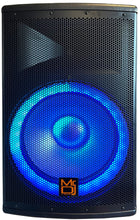 Charger l&#39;image dans la galerie, MR DJ PBX4500S 15&quot; 2-Way PA DJ 4500W Passive LED Speaker + Speaker Stand &amp; Cable