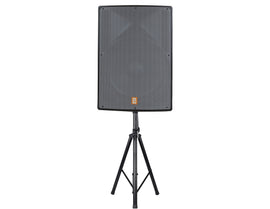 MR DJ PRO118S-G Powerful PRO PA DJ Single 18 Inch Passive Speaker + Stand