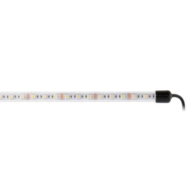 Heise RGBW1-UNDGLED Improved RGBW Underglow LED - 4 Piece Kit